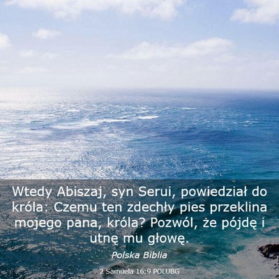 Picture 03 - 2 Samuela 16:9 POLUBG - Wtedy Abiszaj, syn Serui, powiedział do króla: - Bible Verse Picture