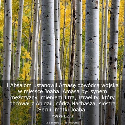 Picture 03 - 2 Samuela 17:25 POLUBG - I Absalom ustanowił Amasę dowódcą wojska w - Bible Verse Picture