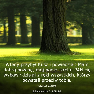 Picture 03 - 2 Samuela 18:31 POLUBG - Wtedy przybył Kusz i powiedział: Mam dobrą - Bible Verse Picture