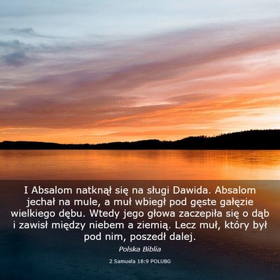 Picture 03 - 2 Samuela 18:9 POLUBG - I Absalom natknął się na sługi Dawida. - Bible Verse Picture