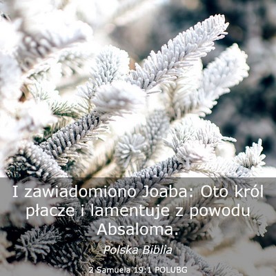Picture 03 - 2 Samuela 19:1 POLUBG - I zawiadomiono Joaba: Oto król płacze i - Bible Verse Picture