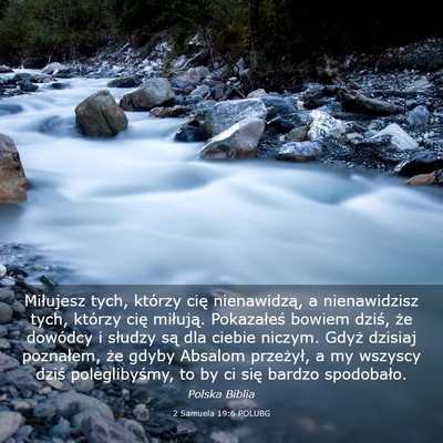 Picture 03 - 2 Samuela 19:6 POLUBG - Miłujesz tych, którzy cię nienawidzą, a - Bible Verse Picture