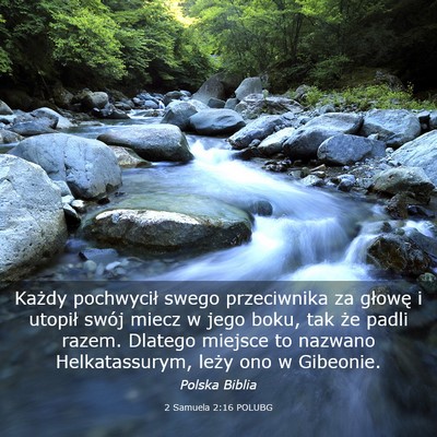 Picture 03 - 2 Samuela 2:16 POLUBG - Każdy pochwycił swego przeciwnika za głowę i - Bible Verse Picture