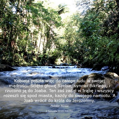 Picture 03 - 2 Samuela 20:22 POLUBG - Kobieta poszła więc do całego ludu w swojej - Bible Verse Picture