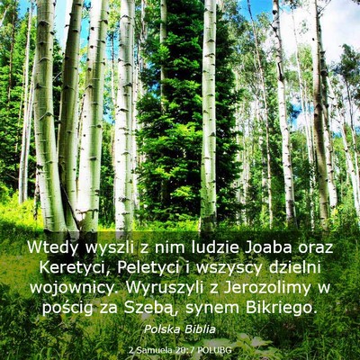Picture 03 - 2 Samuela 20:7 POLUBG - Wtedy wyszli z nim ludzie Joaba oraz Keretyci, - Bible Verse Picture