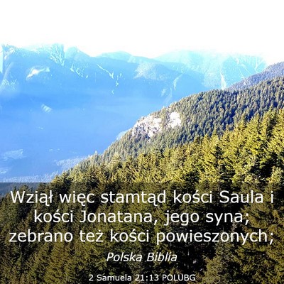 Picture 03 - 2 Samuela 21:13 POLUBG - Wziął więc stamtąd kości Saula i kości - Bible Verse Picture