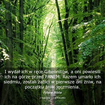Picture 03 - 2 Samuela 21:9 POLUBG - I wydał ich w ręce Gibeonitów, a oni powiesili - Bible Verse Picture