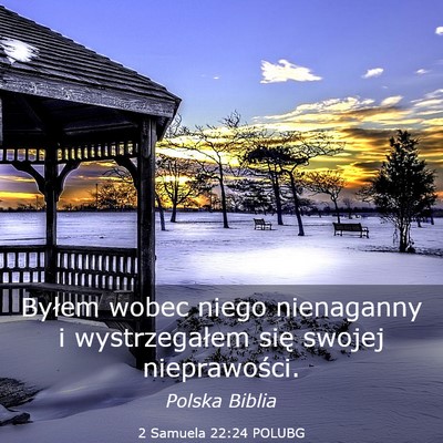 Picture 03 - 2 Samuela 22:24 POLUBG - Byłem wobec niego nienaganny i wystrzegałem - Bible Verse Picture