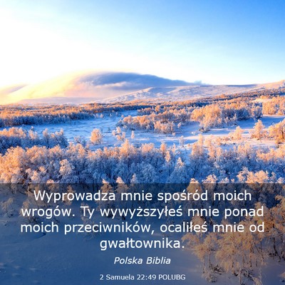 Picture 03 - 2 Samuela 22:49 POLUBG - Wyprowadza mnie spośród moich wrogów. Ty - Bible Verse Picture
