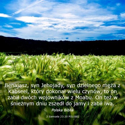 Picture 03 - 2 Samuela 23:20 POLUBG - Benajasz, syn Jehojady, syn dzielnego męża z - Bible Verse Picture