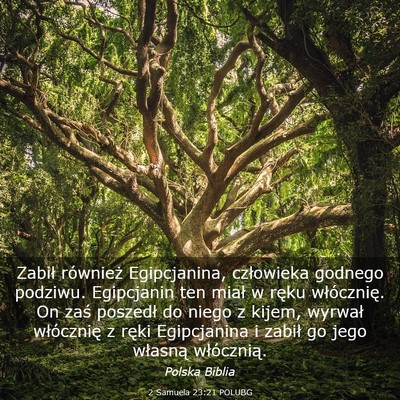 Picture 03 - 2 Samuela 23:21 POLUBG - Zabił również Egipcjanina, człowieka godnego - Bible Verse Picture