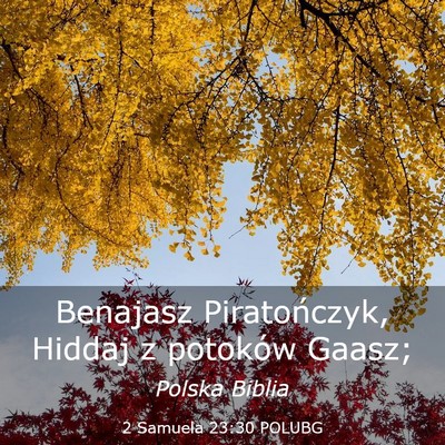Picture 03 - 2 Samuela 23:30 POLUBG - Benajasz Piratończyk, Hiddaj z potoków - Bible Verse Picture