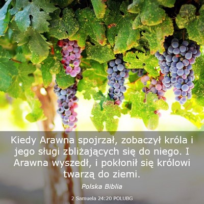 Picture 03 - 2 Samuela 24:20 POLUBG - Kiedy Arawna spojrzał, zobaczył króla i jego - Bible Verse Picture