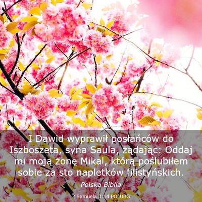 Picture 03 - 2 Samuela 3:14 POLUBG - I Dawid wyprawił posłańców do Iszboszeta, - Bible Verse Picture