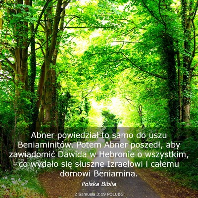 Picture 03 - 2 Samuela 3:19 POLUBG - Abner powiedział to samo do uszu Beniaminitów. - Bible Verse Picture