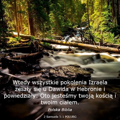 Picture 03 - 2 Samuela 5:1 POLUBG - Wtedy wszystkie pokolenia Izraela zeszły się u - Bible Verse Picture