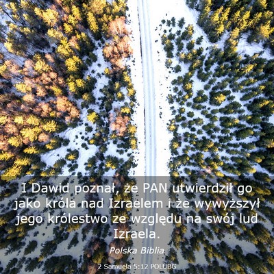 Picture 03 - 2 Samuela 5:12 POLUBG - I Dawid poznał, że PAN utwierdził go jako - Bible Verse Picture