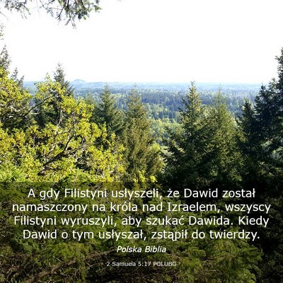 Picture 03 - 2 Samuela 5:17 POLUBG - A gdy Filistyni usłyszeli, że Dawid został - Bible Verse Picture