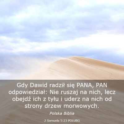 Picture 03 - 2 Samuela 5:23 POLUBG - Gdy Dawid radził się PANA, PAN odpowiedział: - Bible Verse Picture