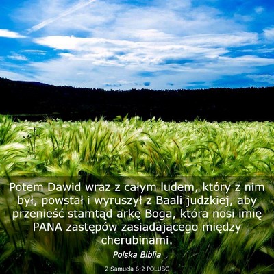 Picture 03 - 2 Samuela 6:2 POLUBG - Potem Dawid wraz z całym ludem, który z nim - Bible Verse Picture