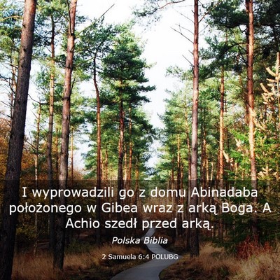 Picture 03 - 2 Samuela 6:4 POLUBG - I wyprowadzili go z domu Abinadaba położonego w - Bible Verse Picture