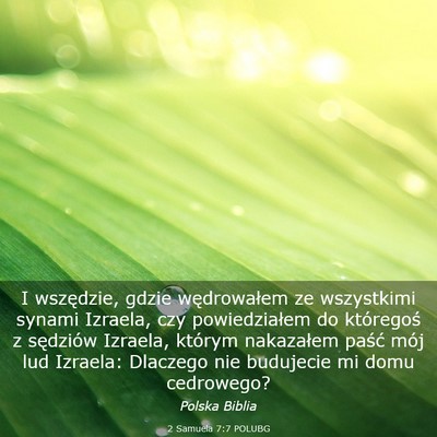 Picture 03 - 2 Samuela 7:7 POLUBG - I wszędzie, gdzie wędrowałem ze wszystkimi - Bible Verse Picture