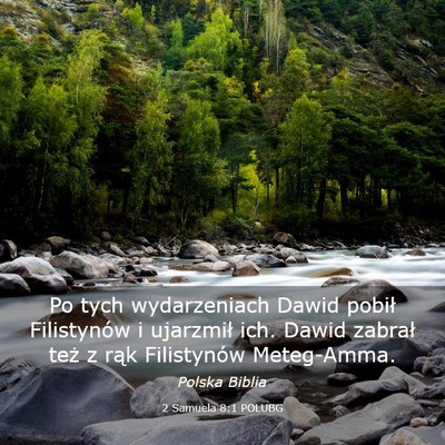 Picture 03 - 2 Samuela 8:1 POLUBG - Po tych wydarzeniach Dawid pobił Filistynów i - Bible Verse Picture
