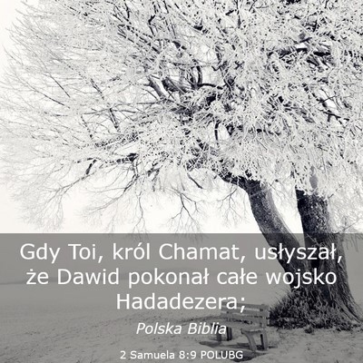 Picture 03 - 2 Samuela 8:9 POLUBG - Gdy Toi, król Chamat, usłyszał, że Dawid - Bible Verse Picture