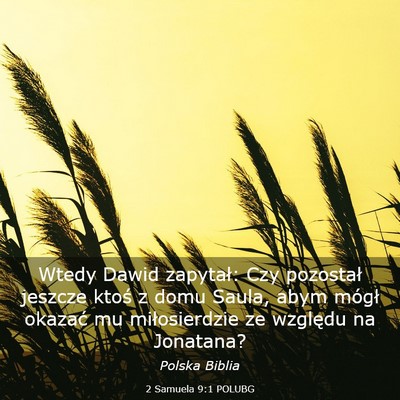 Picture 03 - 2 Samuela 9:1 POLUBG - Wtedy Dawid zapytał: Czy pozostał jeszcze ktoś - Bible Verse Picture