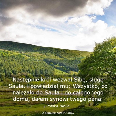Picture 03 - 2 Samuela 9:9 POLUBG - Następnie król wezwał Sibę, sługę Saula, i - Bible Verse Picture