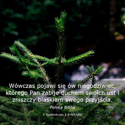Picture 03 - 2 Tesaloniczan 2:8 POLUBG - Wówczas pojawi się ów niegodziwiec, którego - Bible Verse Picture