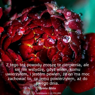Picture 03 - 2 Tymoteusza 1:12 POLUBG - Z tego też powodu znoszę te cierpienia, ale - Bible Verse Picture