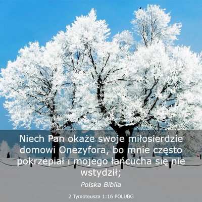 Picture 03 - 2 Tymoteusza 1:16 POLUBG - Niech Pan okaże swoje miłosierdzie domowi - Bible Verse Picture