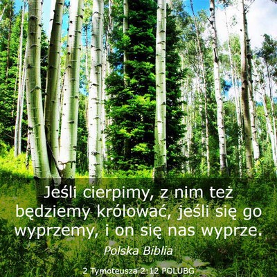 Picture 03 - 2 Tymoteusza 2:12 POLUBG - Jeśli cierpimy, z nim też będziemy królować, - Bible Verse Picture