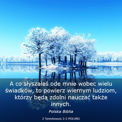 Picture 03 - 2 Tymoteusza 2:2 POLUBG - A co słyszałeś ode mnie wobec wielu - Bible Verse Picture