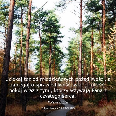 Picture 03 - 2 Tymoteusza 2:22 POLUBG - Uciekaj też od młodzieńczych pożądliwości, - Bible Verse Picture