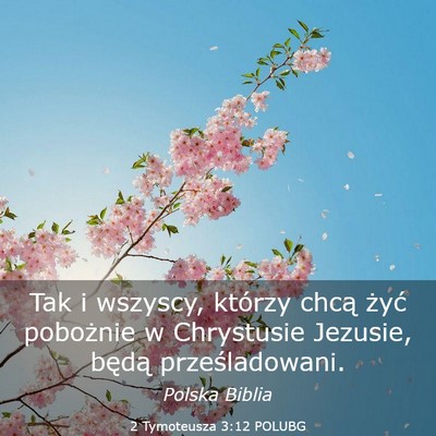 Picture 03 - 2 Tymoteusza 3:12 POLUBG - Tak i wszyscy, którzy chcą żyć pobożnie w - Bible Verse Picture