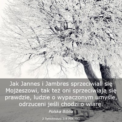 Picture 03 - 2 Tymoteusza 3:8 POLUBG - Jak Jannes i Jambres sprzeciwiali się - Bible Verse Picture