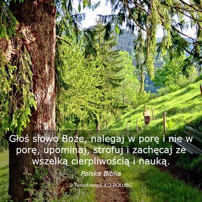 Picture 03 - 2 Tymoteusza 4:2 POLUBG - Głoś słowo Boże, nalegaj w porę i nie w - Bible Verse Picture