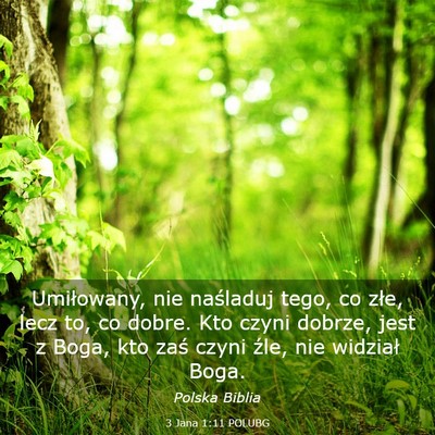Picture 03 - 3 Jana 1:11 POLUBG - Umiłowany, nie naśladuj tego, co złe, lecz to, - Bible Verse Picture