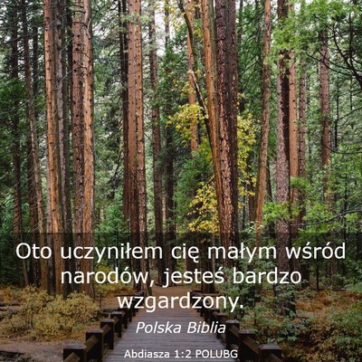 Picture 03 - Abdiasza 1:2 POLUBG - Oto uczyniłem cię małym wśród narodów, - Bible Verse Picture