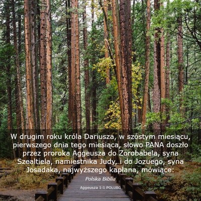 Picture 03 - Aggeusza 1:1 POLUBG - W drugim roku króla Dariusza, w szóstym - Bible Verse Picture