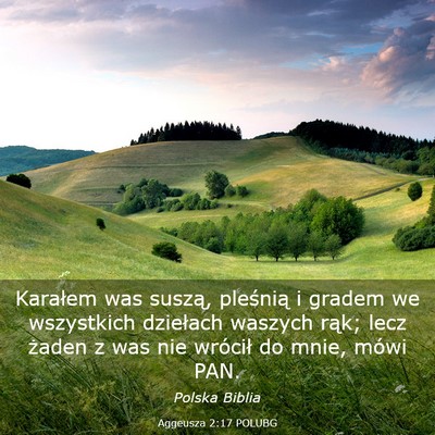 Picture 03 - Aggeusza 2:17 POLUBG - Karałem was suszą, pleśnią i gradem we - Bible Verse Picture