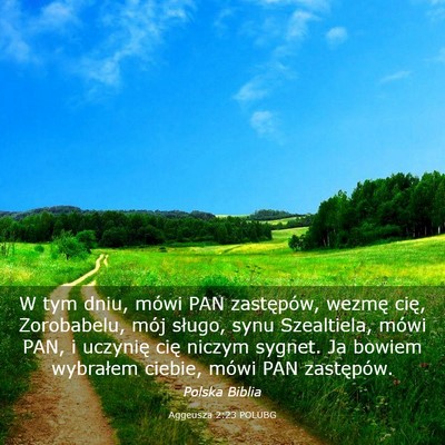 Picture 03 - Aggeusza 2:23 POLUBG - W tym dniu, mówi PAN zastępów, wezmę cię, - Bible Verse Picture