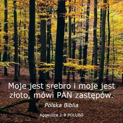 Picture 03 - Aggeusza 2:8 POLUBG - Moje jest srebro i moje jest złoto, mówi PAN - Bible Verse Picture