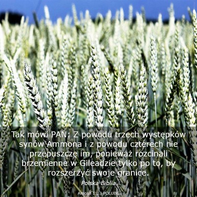 Picture 03 - Amosa 1:13 POLUBG - Tak mówi PAN: Z powodu trzech występków synów - Bible Verse Picture