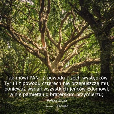 Picture 03 - Amosa 1:9 POLUBG - Tak mówi PAN: Z powodu trzech występków Tyru i - Bible Verse Picture