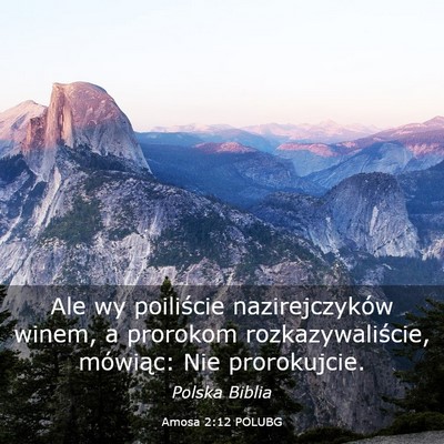 Picture 03 - Amosa 2:12 POLUBG - Ale wy poiliście nazirejczyków winem, a - Bible Verse Picture