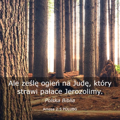 Picture 03 - Amosa 2:5 POLUBG - Ale ześlę ogień na Judę, który strawi - Bible Verse Picture