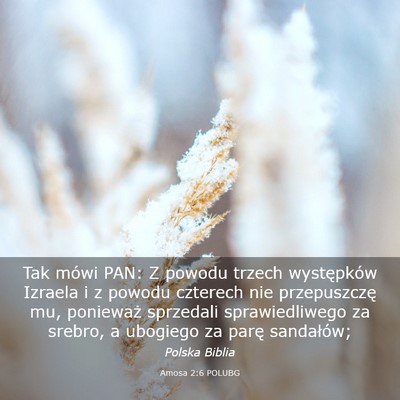 Picture 03 - Amosa 2:6 POLUBG - Tak mówi PAN: Z powodu trzech występków - Bible Verse Picture